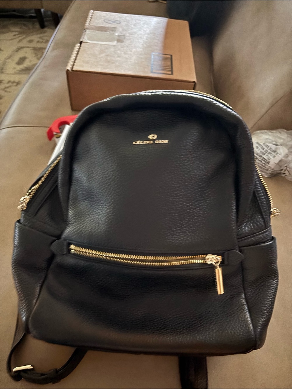 Celine Dion Black Leather Small Backpack with Gold Hardware